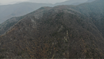 20230213/63e9b195b55a4.png 图片6.png